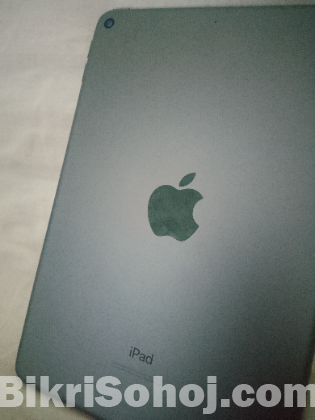 I pad mini 5